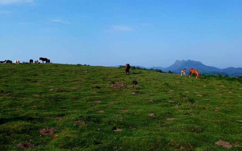 Découverte confort du Pays Basque par le GR10