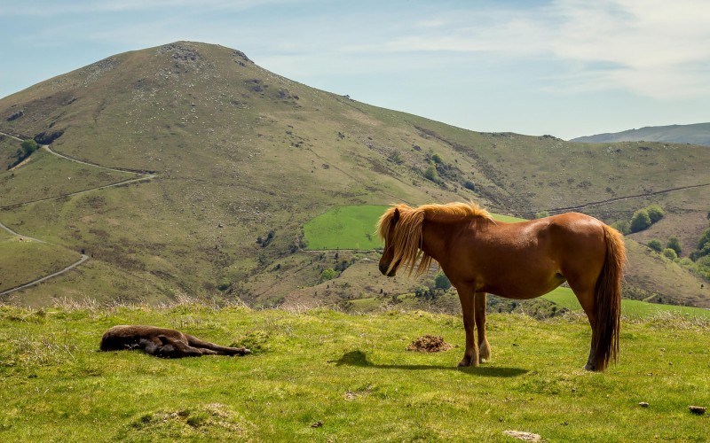 Discovering in comfort of the Basque Country via the GR 10