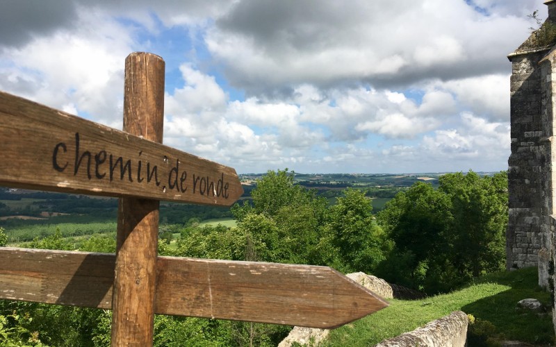 Cycling in Gers : between historical sites and Armagnac vineyards