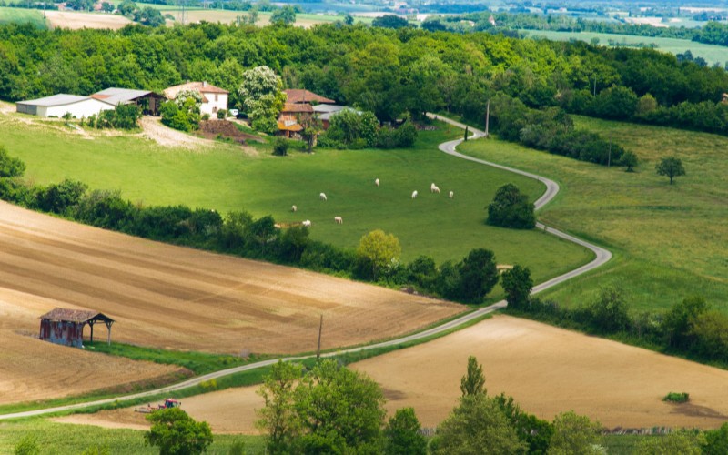 Cycling in Gers : between historical sites and Armagnac vineyards (short version)