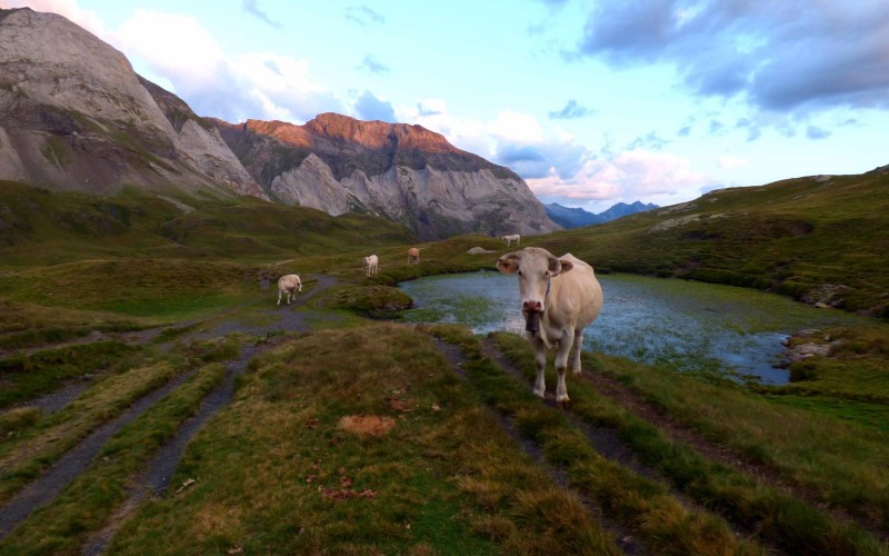 Pyrenees National Park, UNESCO world heritage