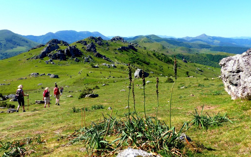 Terroirs of the Basque Country : welcome to our accommodation !