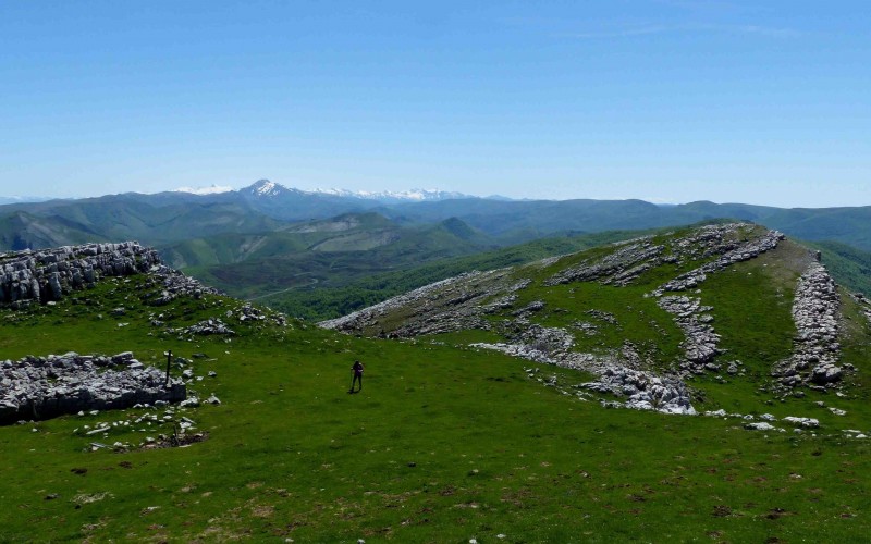 Terroirs of the Basque Country : welcome to our accommodation !