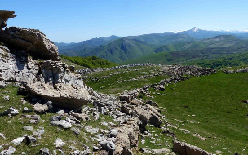 Terroirs of the Basque Country : welcome to our accommodation !