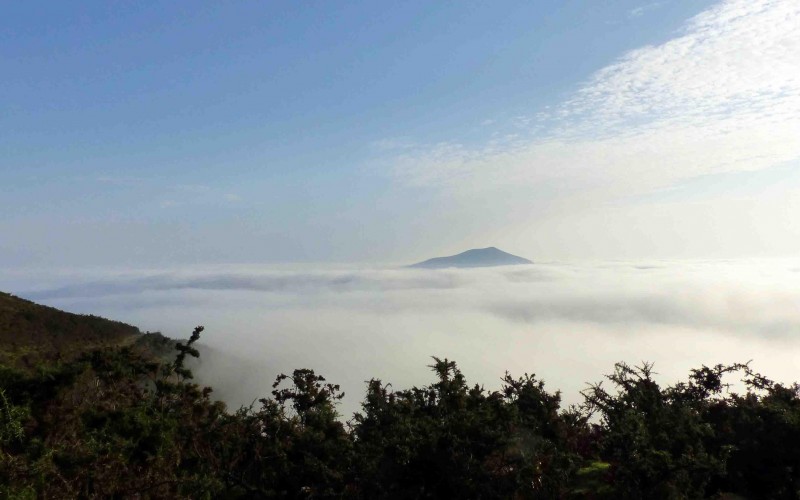 Terroirs of the Basque Country : welcome to our accommodation !