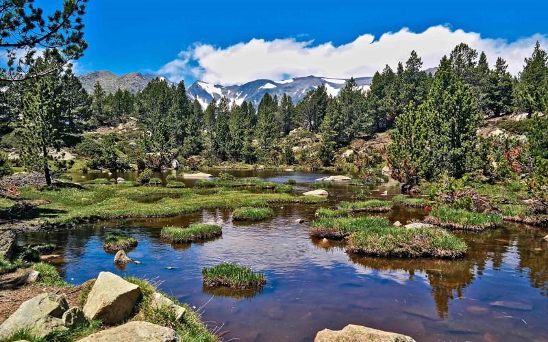 Pyrénées Catalanes : montagnes, lacs et terroir gourmand