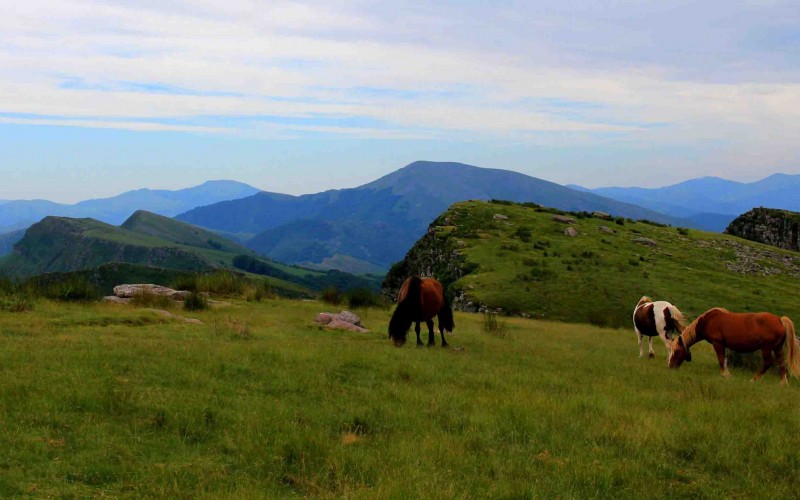 Western Pyrenees, from the Mountains to the Ocean