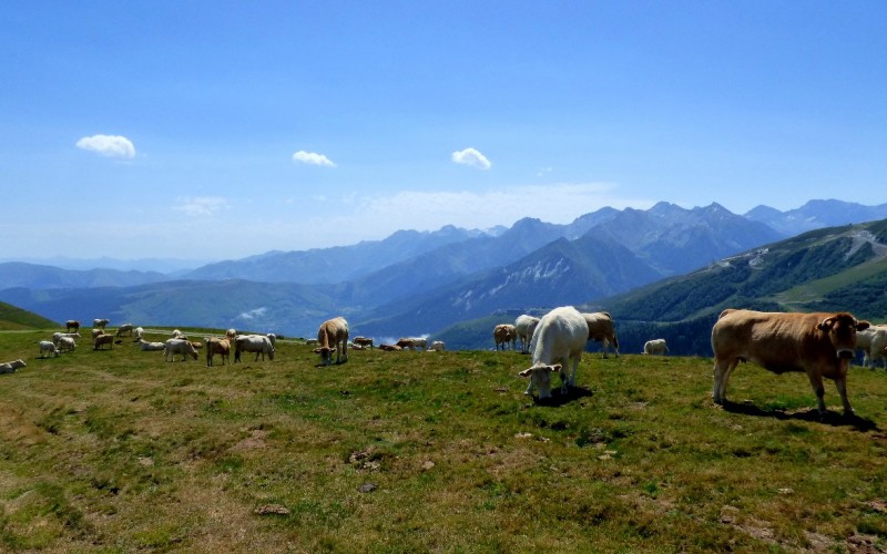 Discovering in comfort the Pyrenees National Park through the GR10 : East part