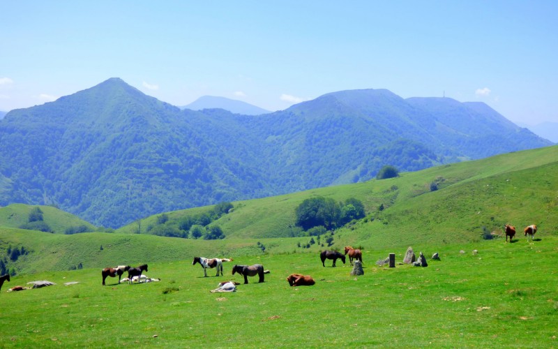 Traversée des Pyrénées accompagnée Partie 1 : Hendaye - St Jean Pied de Port