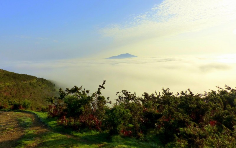 Traversée des Pyrénées accompagnée Partie 1 : Hendaye - St Jean Pied de Port