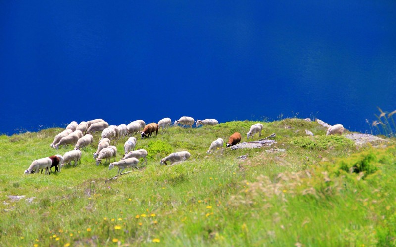 Traversée des Pyrénées accompagnée Partie 5 : Bagnères de Luchon - Aulus les Bains