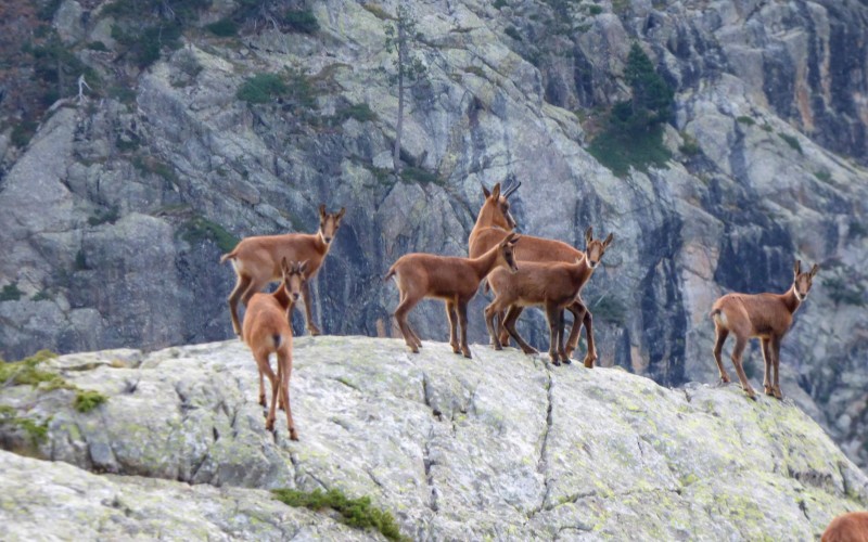 Traversée des Pyrénées accompagnée Partie 8 : Vernet les Bains - Banyuls sur Mer