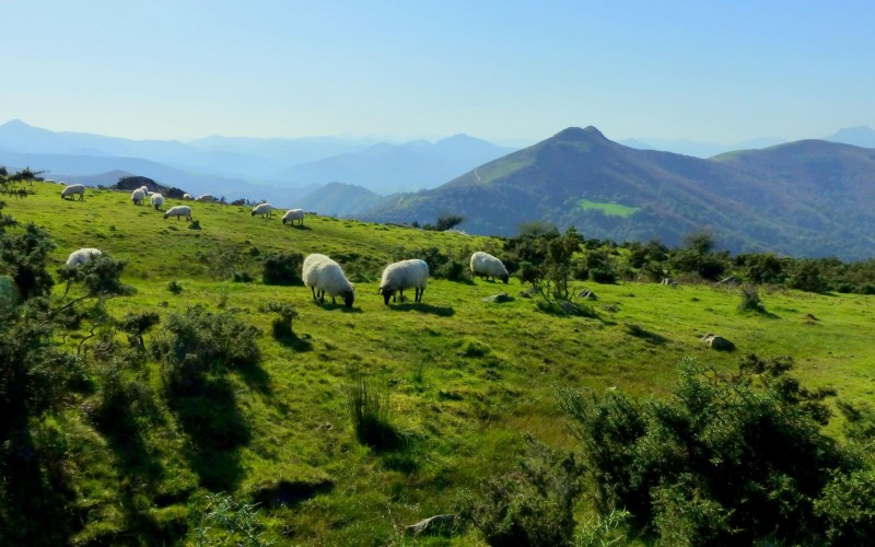 Traversée du Pays Basque à vélo : des montagnes à l'Océan