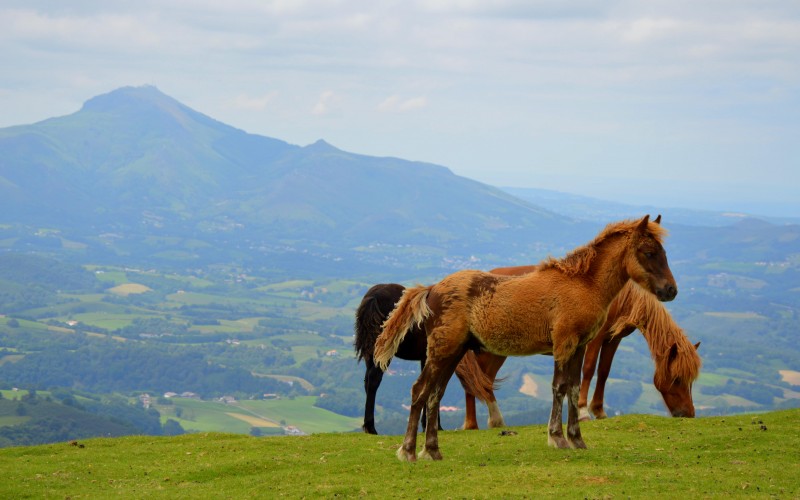 Randonnées et balnéo sur la côte Basque