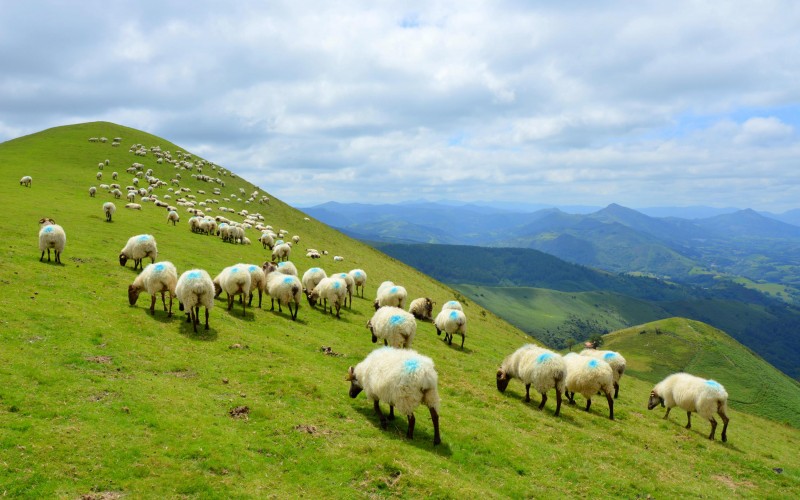 Réveillon douillet au Pays Basque