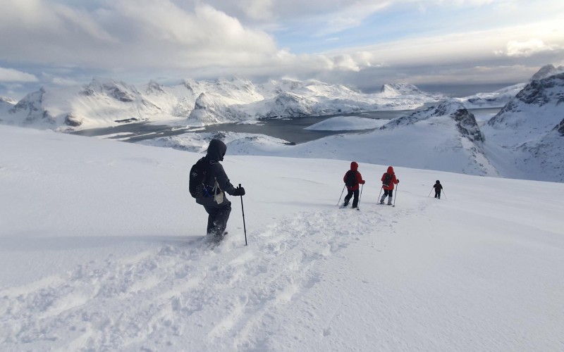 Fugue hivernale en raquettes, sous les aurores boréales des îles Lofoten, en Norvège