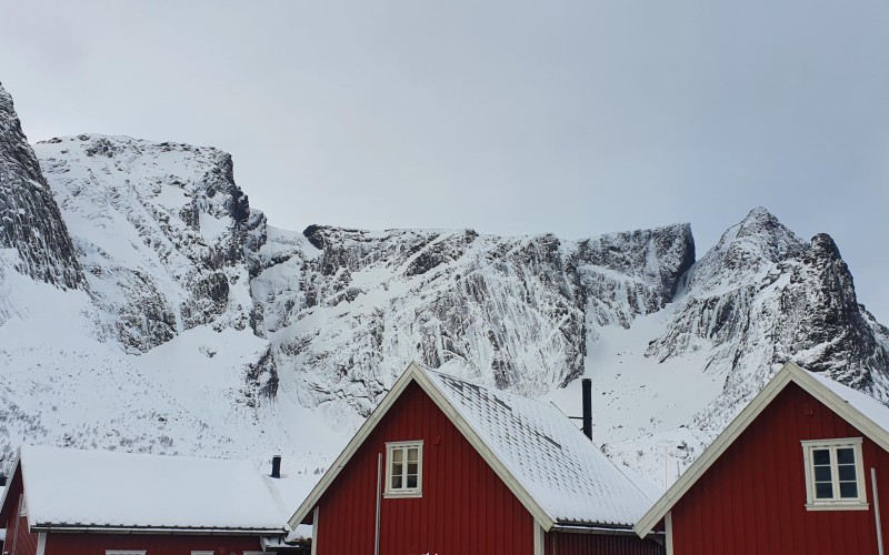 Fugue hivernale en raquettes, sous les aurores boréales des îles Lofoten, en Norvège