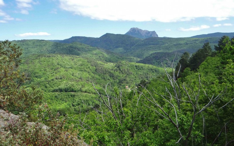 Cathar Castles in the Pyrenees, from Quéribus to Quillan