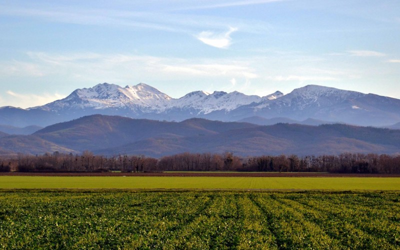 Cathar Castles in the Pyrenees, from Quillan to Foix